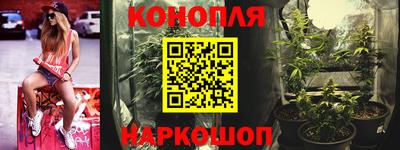 сатива Ачхой-Мартан