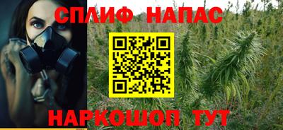 сатива Ачхой-Мартан