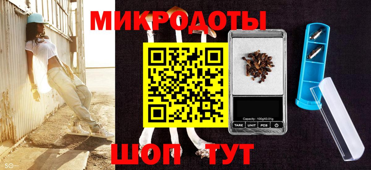 Псилоцибиновые грибы Cubensis  Вход с VPN  Всеволожск 