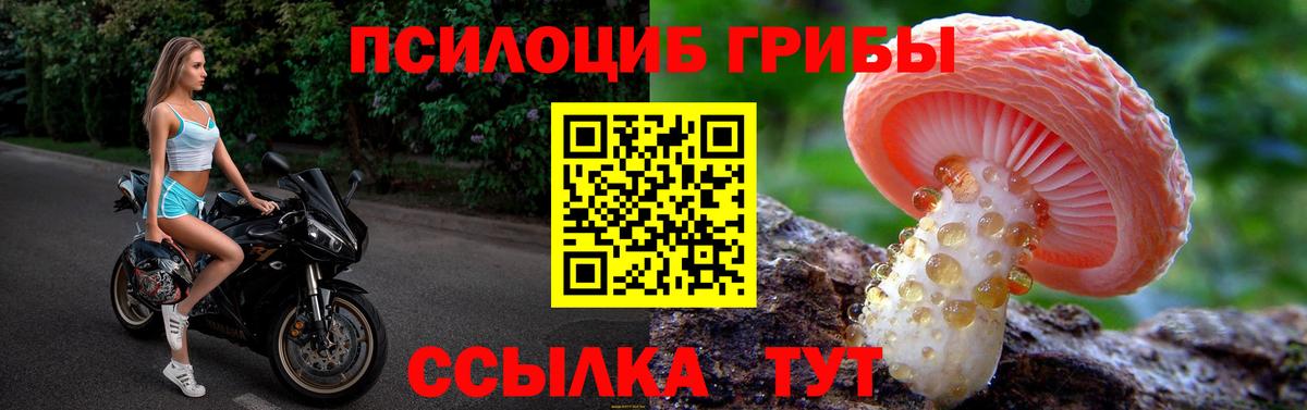 Псилоцибиновые грибы мухоморы Всеволожск