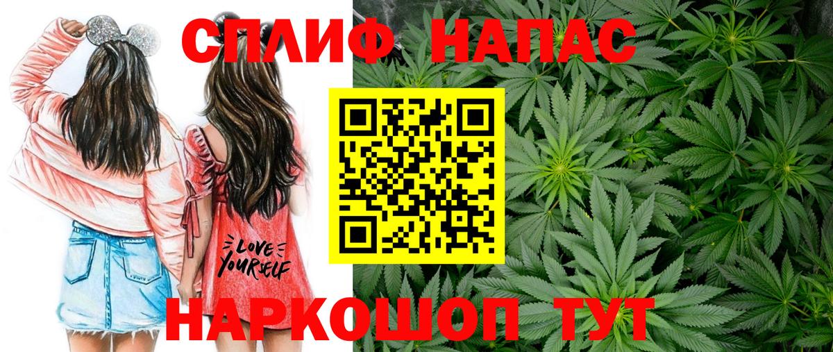 Каннабис конопля Всеволожск